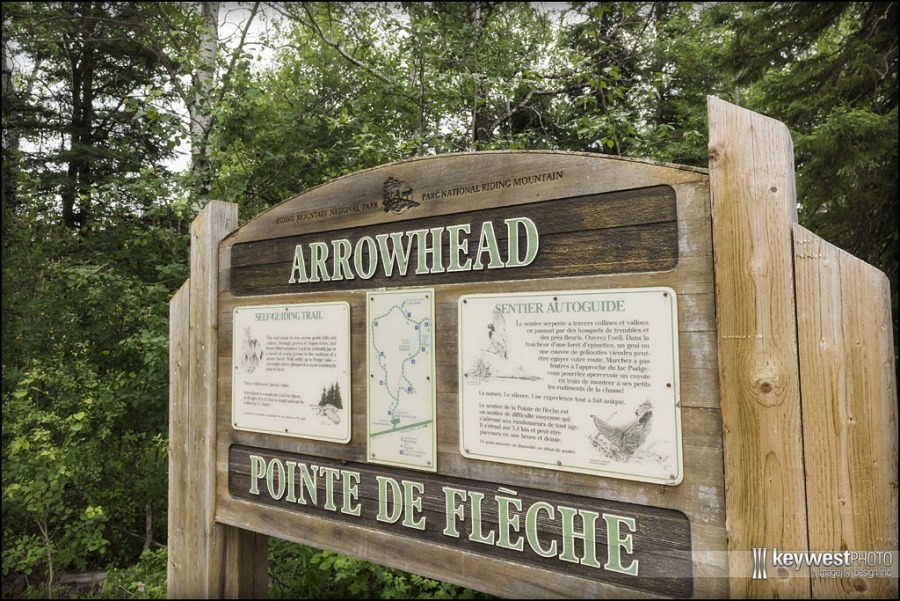 June 24, 2018 - Arrowhead Trail